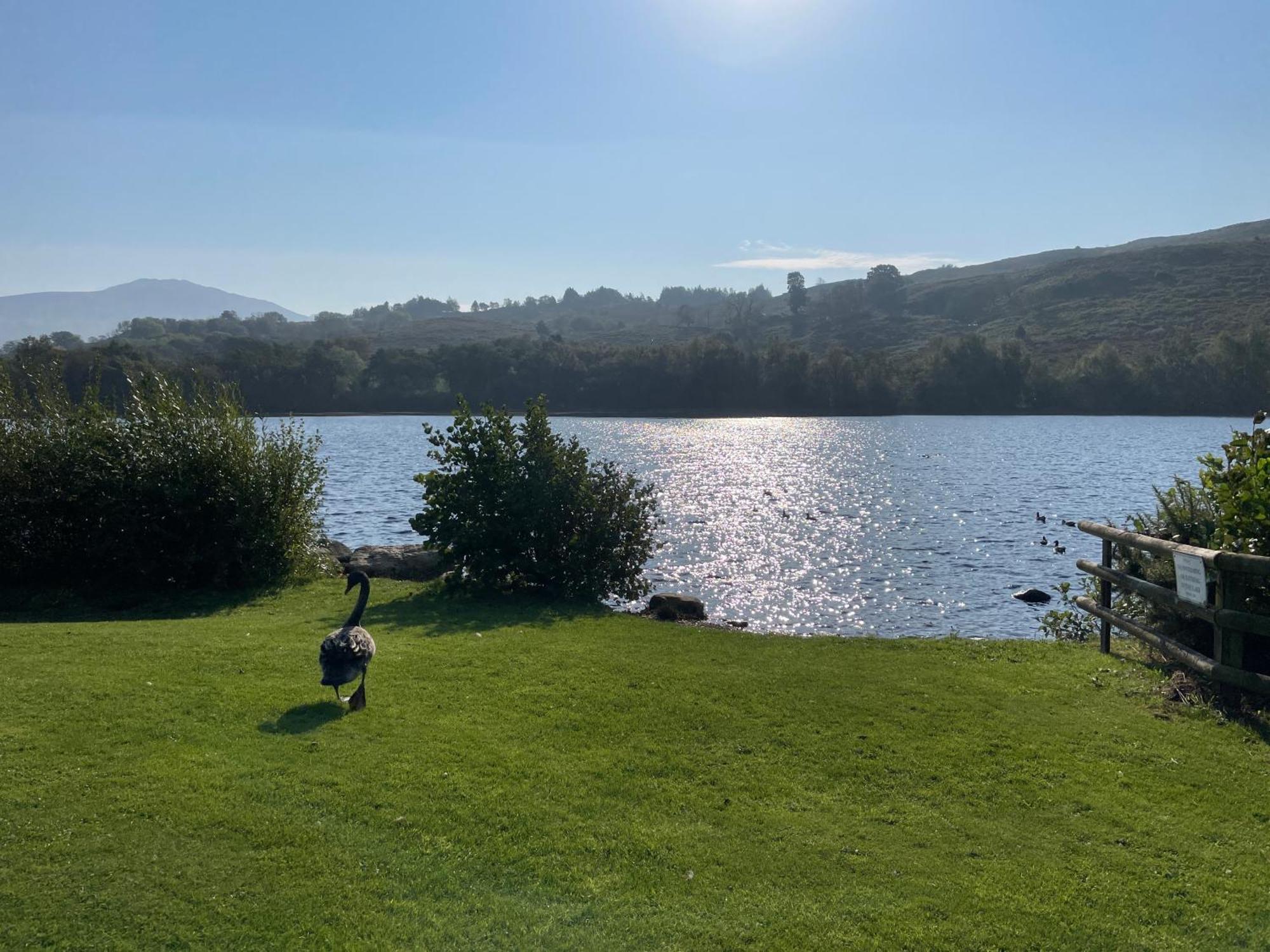 No 61 Brynteg Country & Leisure Retreat Villa Cwm-y-glo Luaran gambar